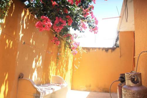 Casa Cotorro Best Tulum Adventures