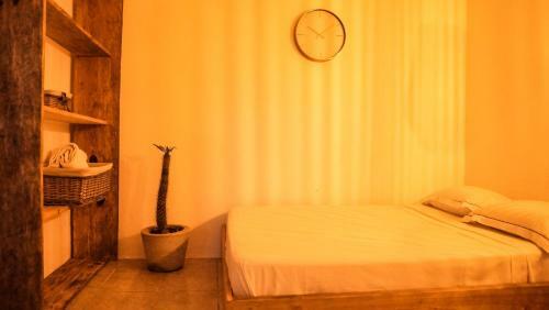Hostel Coelum