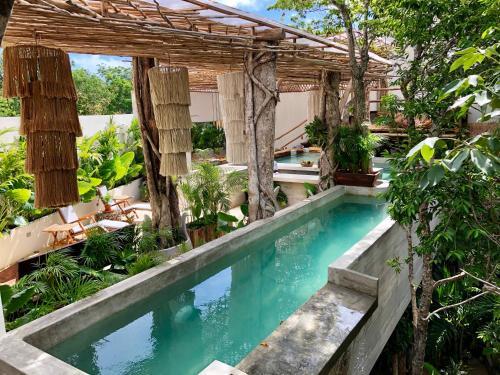 Hotel Orchid House Tulum