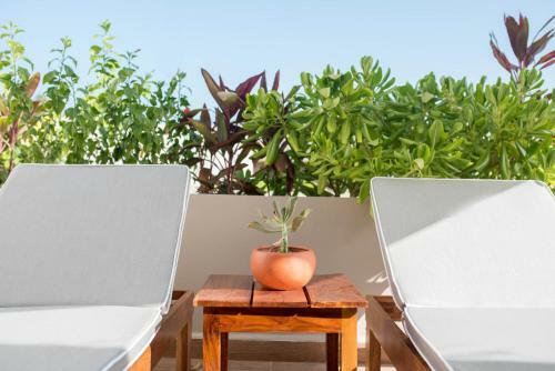 Agua De Mar Luxury Apartments By Im�xico