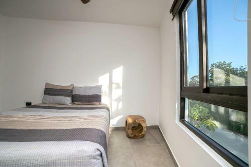Quinto Sol Luxury Apartments By Im�xico