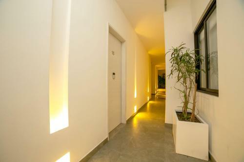 Quinto Sol Luxury Apartments By Im�xico
