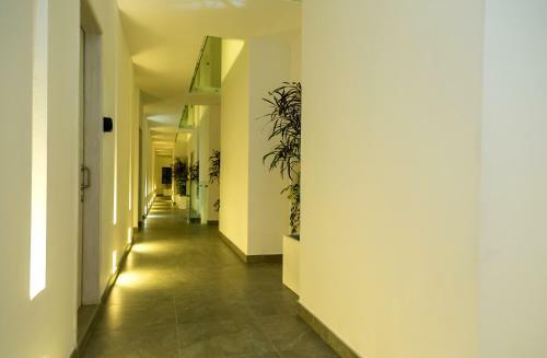 Quinto Sol Luxury Apartments By Im�xico