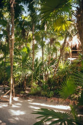 Hotel Tribal Tulum