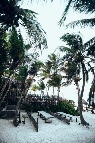 Hotel Tribal Tulum