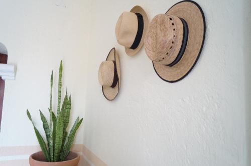 Apartamento Departamento 197