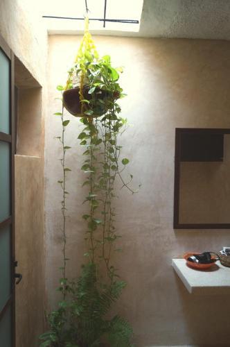 Apartamento Departamento 197