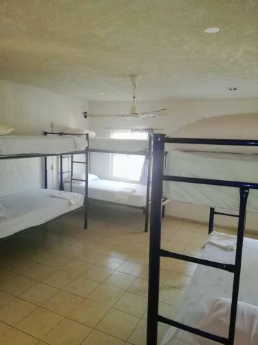 Spanglish Hostel