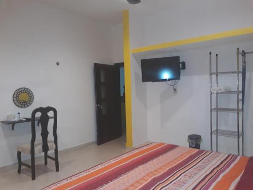 Casa Fernery