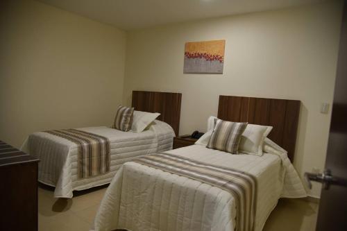 Hotel Suites San Pedro