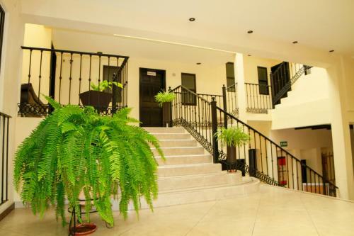 Hotel Y Suites El Refugio De Don Carlos
