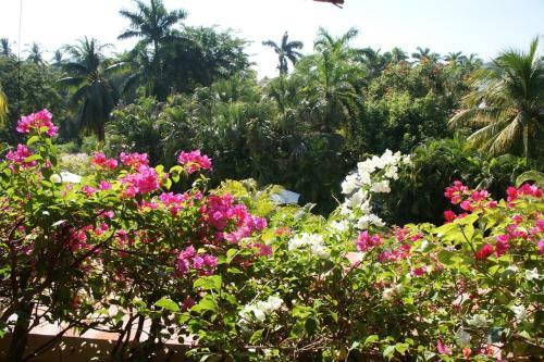 Apartamento Villas Del Sol - 2 Bdrm Condo On La Ropa Beach
