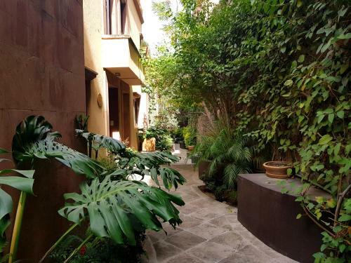 Apartamento Departamento En El Centro De San Miguel