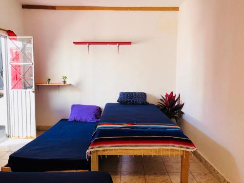 Hostal El Besito Hostel Sma