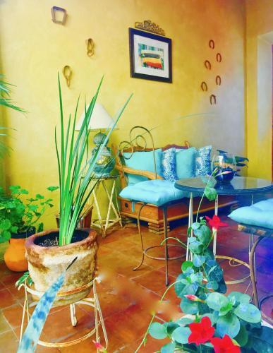 Bed & Breakfast Casa/hotel Centro Antiguo