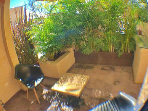 Hotel Casa 88