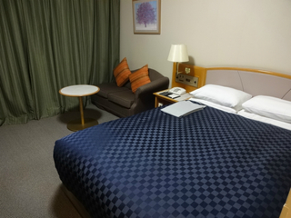 Narita Excel Hotel Tokyu