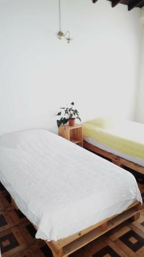 Hostal Calibr�, La Casa Libre Del R�o