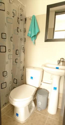 Lindo Apartamento Centro Pereira