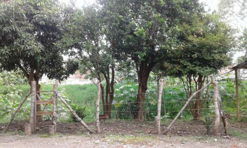 Albergue Welcome Home