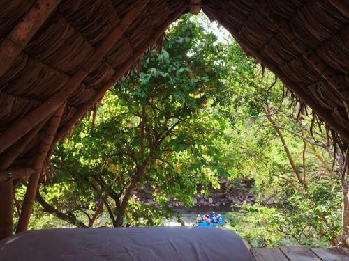 Agroturismo La Finca La Palmita