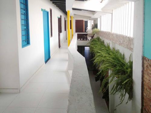 Apartamento Casa 6-46