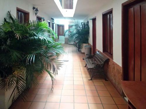 Bed & Breakfast Bacano Hostel