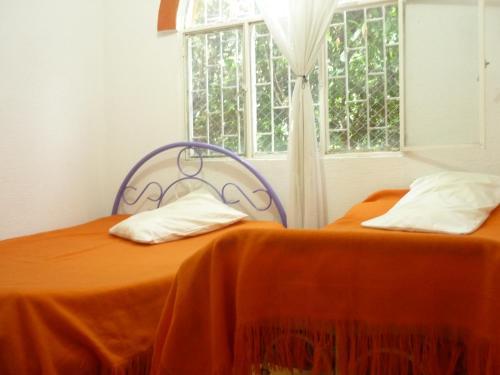 Mandarina Hostal