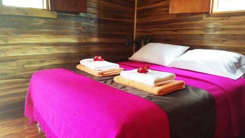 Albergue Sindamanoy Mentecuerpo