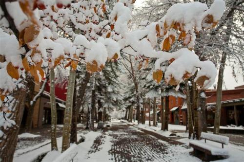 Apartamento Telemark 2 Aspen