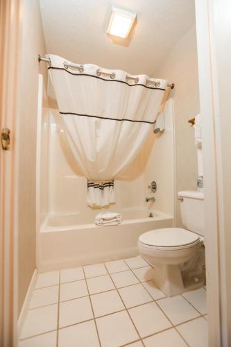 Hotel Branson Surrey Inn