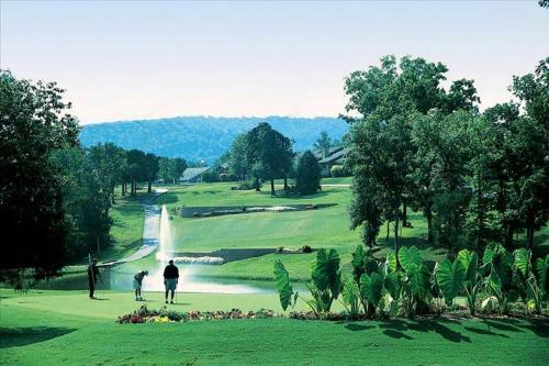 Apartamento Silver Dollar #703597 Condo