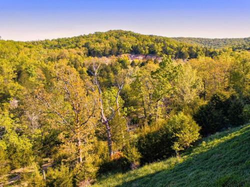 Apartamento Silver Dollar #711467 Condo