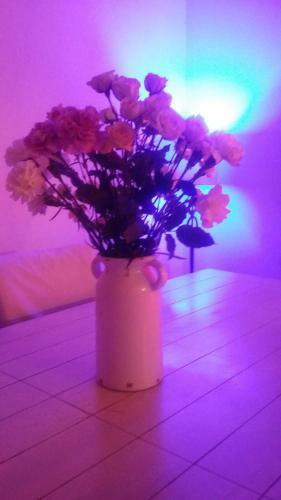 Apartamento Vinton Chalet