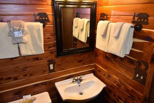 Hotel Alpine Lodge Resort