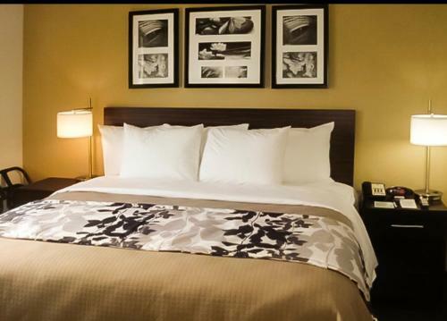 Hotel The Vue Inn Brooklyn