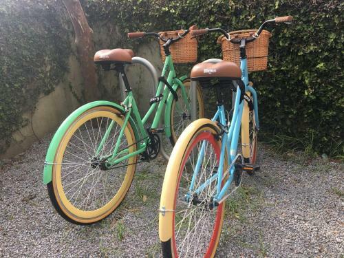 Boutique Home & Courtyard W/ Bikes!