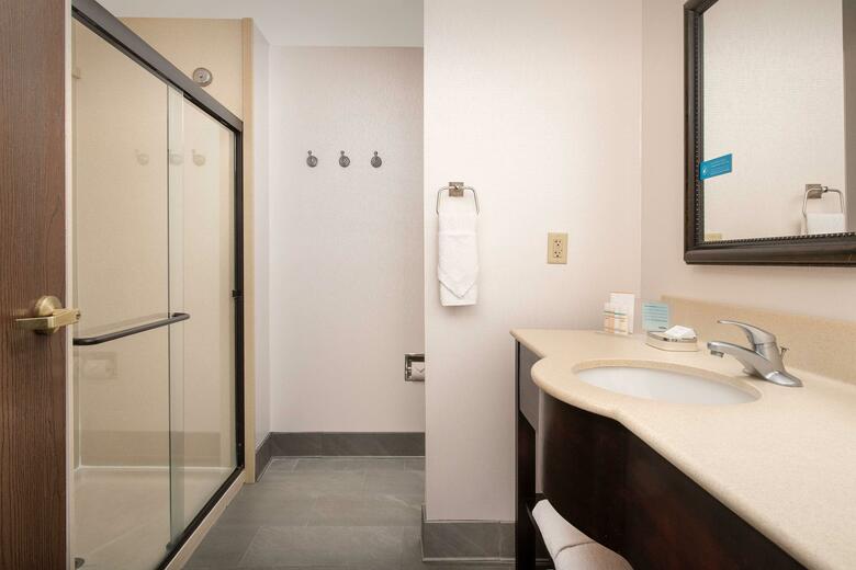 Hotel Hampton Inn Suite Lake City Fl