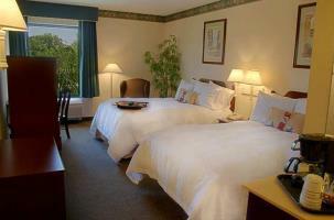 Hotel Hampton Inn St Petersburg Fl