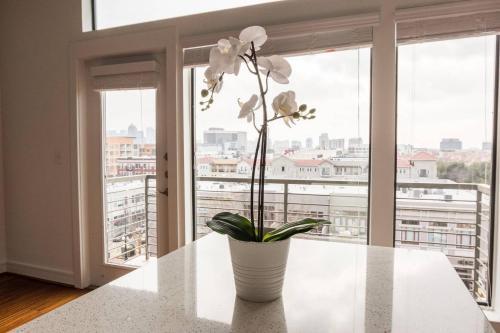 Apartamento Stay Above It All @ Views + Balcony + Shopping 1br