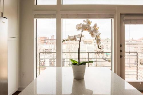 Apartamento Unbeatable Location Near AA Center @ 1br + Parking
