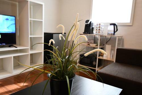 Private Unit / Private Bathroom Near Bart & Sf