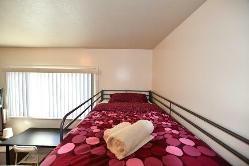 Hostel Style Shared Room