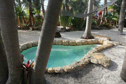 Luxury Tropical Home Near To Beach