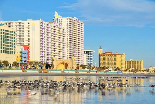 Ocean Walk Resort 1807 - 1 Br