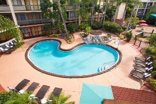 All Suites Hotel Near Usf