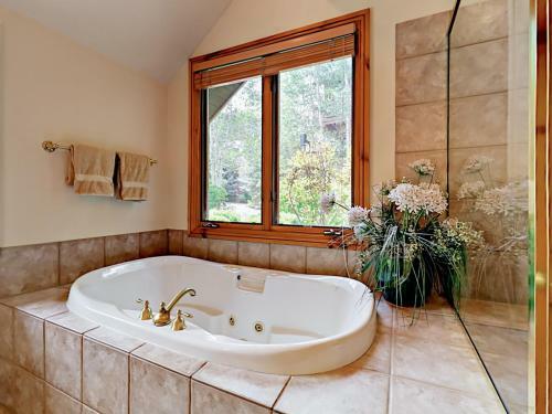 663 Sawatch Drive Townhouse Unit 1