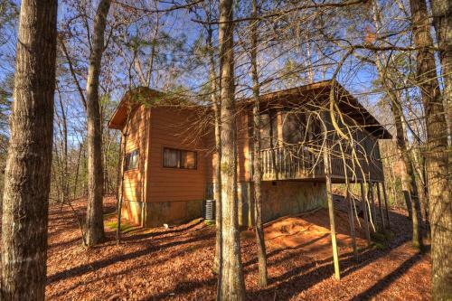Birch Tree Cabin