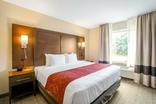 Hotel Comfort Suites