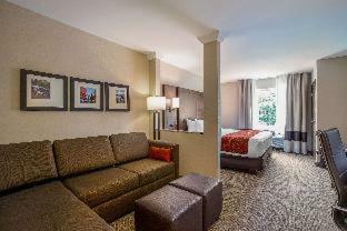 Hotel Comfort Suites